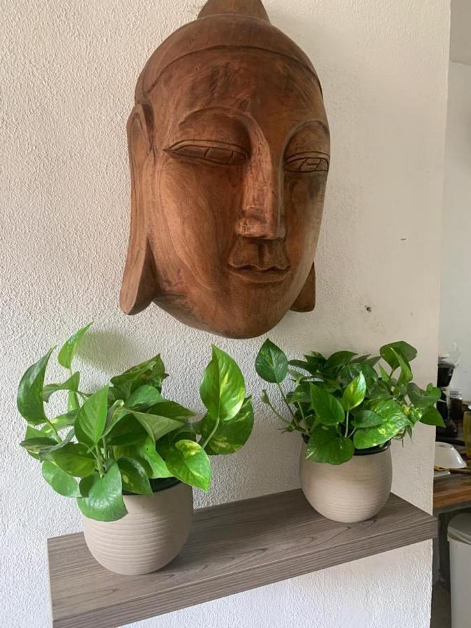 Casa Candra San Francisco  Kültér fotó